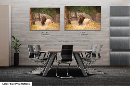 Bull Elk Bugling, Wildlife Wall Canvas, Rocky Mountain National Park, Colorado Canvas Art Prints, Elk Photography, Made in the USA