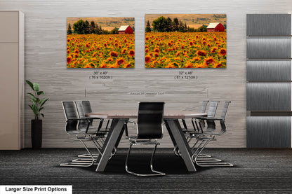 Home Decor Photograph Sunflower Field Landscape Wall Art, Rural America, Red Country Barn, Sunflowers, Northeastern Oregon Landscapes, USA