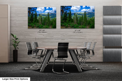 Breckenridge Colorado summertime picture, Breckenridge wall art, wildflowers of Colorado, mountain wall art, extra large wall art