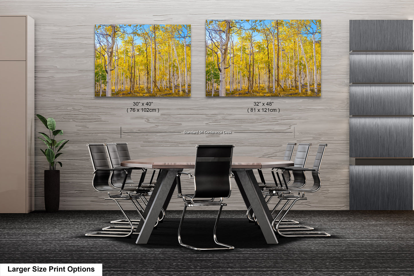 Fall Aspen Trees Wall Art, Pando / Birch Tree / Large Forest Print Nature / Canvas Wall Decor / Acrylic / Metal / Photography