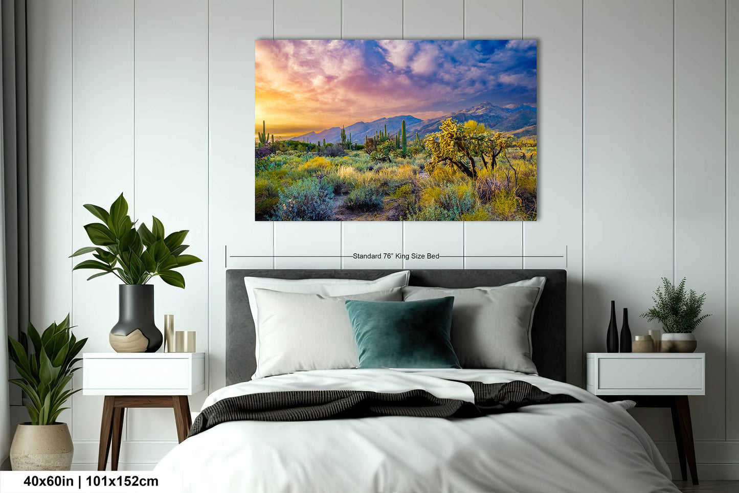 Desert Wonderland: Painted Sky Sunset at Sabino Canyon Tucson Arizona Cactus Landscape Photography Wall Art