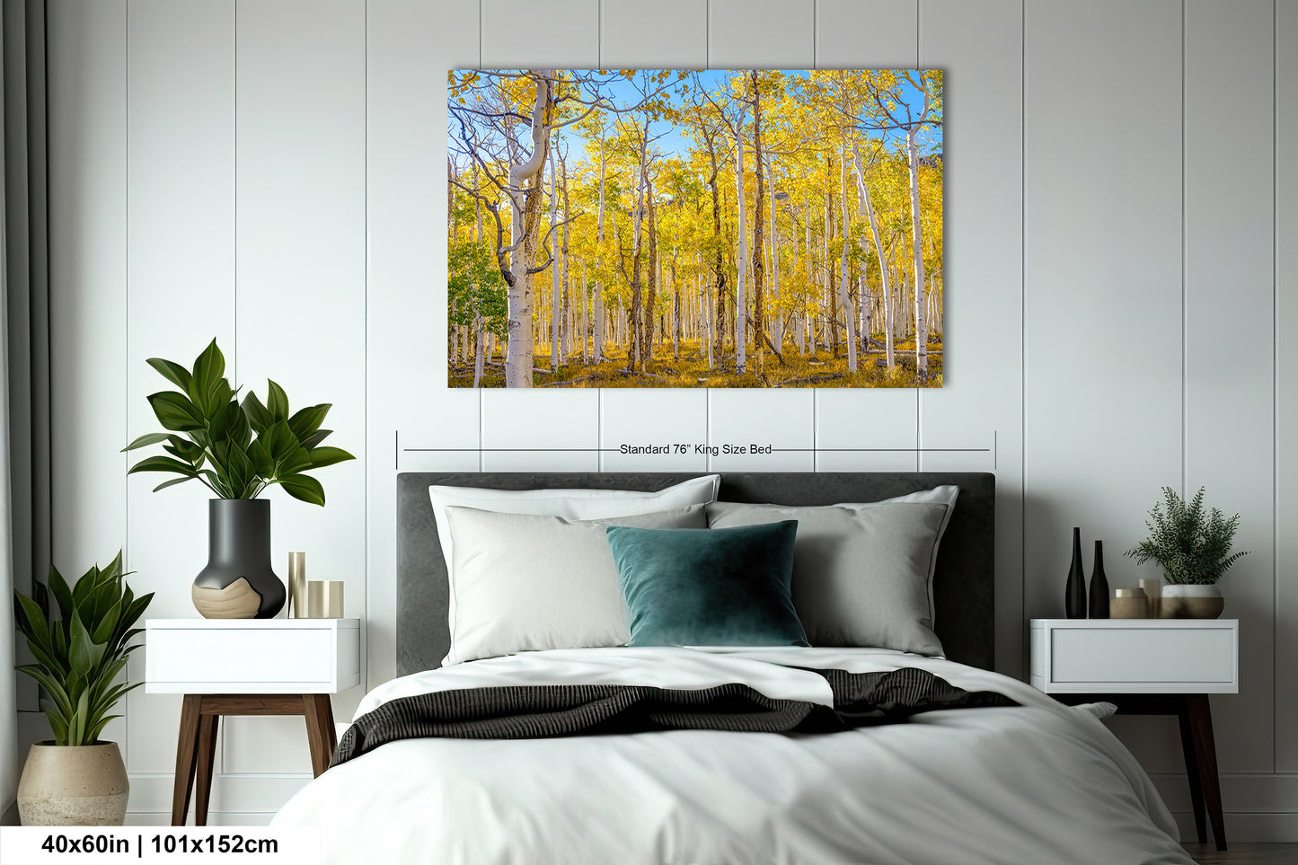 Fall Aspen Trees Wall Art, Pando / Birch Tree / Large Forest Print Nature / Canvas Wall Decor / Acrylic / Metal / Photography