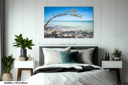Florida Beach