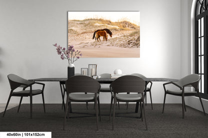 Wild Mustang Horses Mother and Baby Sunset / Fine Art Print / Canvas / Acrylic / Metal / Photography
