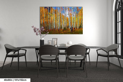 Aspen's canvas, fall aspens, Colorado, Colorado canvas, autumn trees, aspens photo, large canvas, Colorado gifts, large wall art