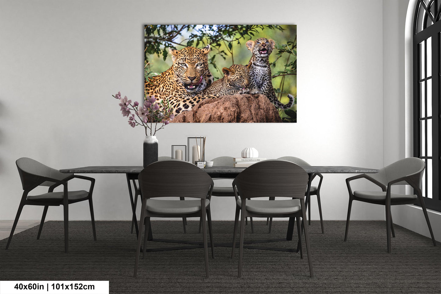Leopard Mother with Cubs African Safari