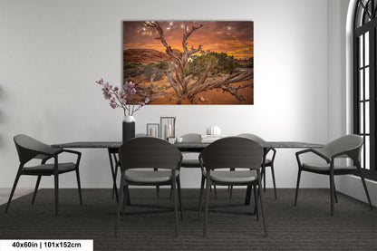 Dead Tree Sunset in Arches National Park Utah Fine art Canvas/Metal/Acrylic/Photo Print Wall Art Office Home Decorations Ready to hang