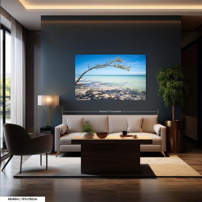 Florida Beach