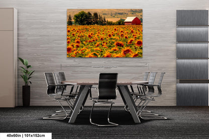 Home Decor Photograph Sunflower Field Landscape Wall Art, Rural America, Red Country Barn, Sunflowers, Northeastern Oregon Landscapes, USA