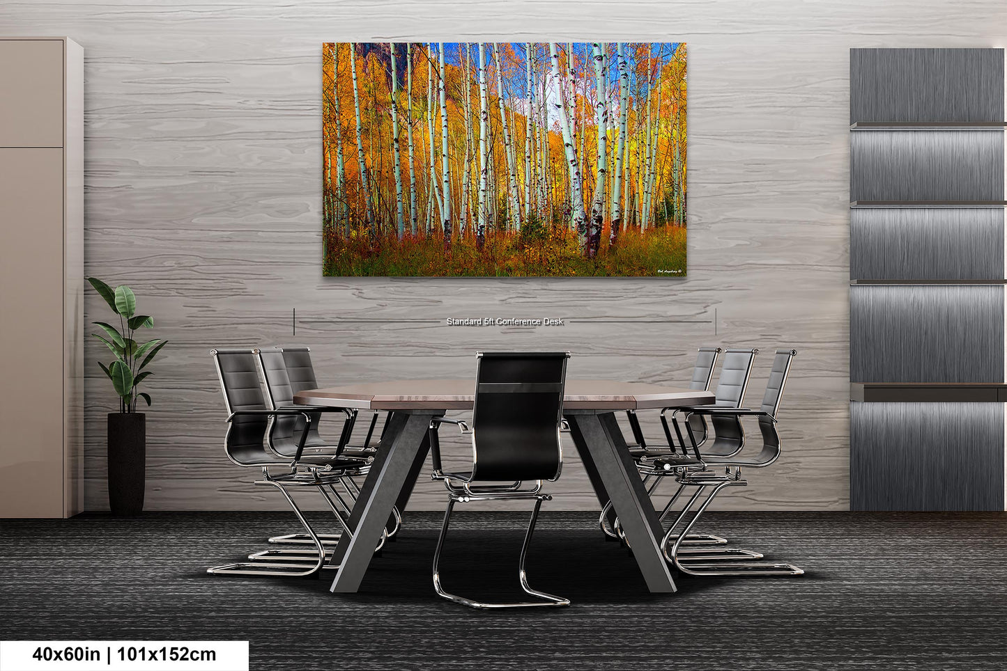 Aspen's canvas, fall aspens, Colorado, Colorado canvas, autumn trees, aspens photo, large canvas, Colorado gifts, large wall art