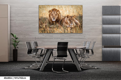 Lion Pair African Safari