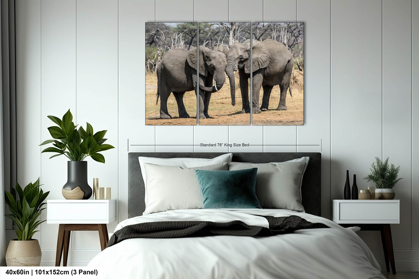 Elephant Canvas Wall Art, South Africa Elephants Couple Photo Print, Safari Animal Print Elephant Photography for Office, Dorm or Home Decor