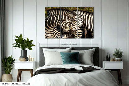 South Africa Zebra Print, Couple Zebras Canvas Wall Art, Stylish Safari Photo Print for Home,Living Room, Office, Bedroom or Dorm Decor Gift