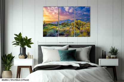 Desert Wonderland: Painted Sky Sunset at Sabino Canyon Tucson Arizona Cactus Landscape Photography Wall Art