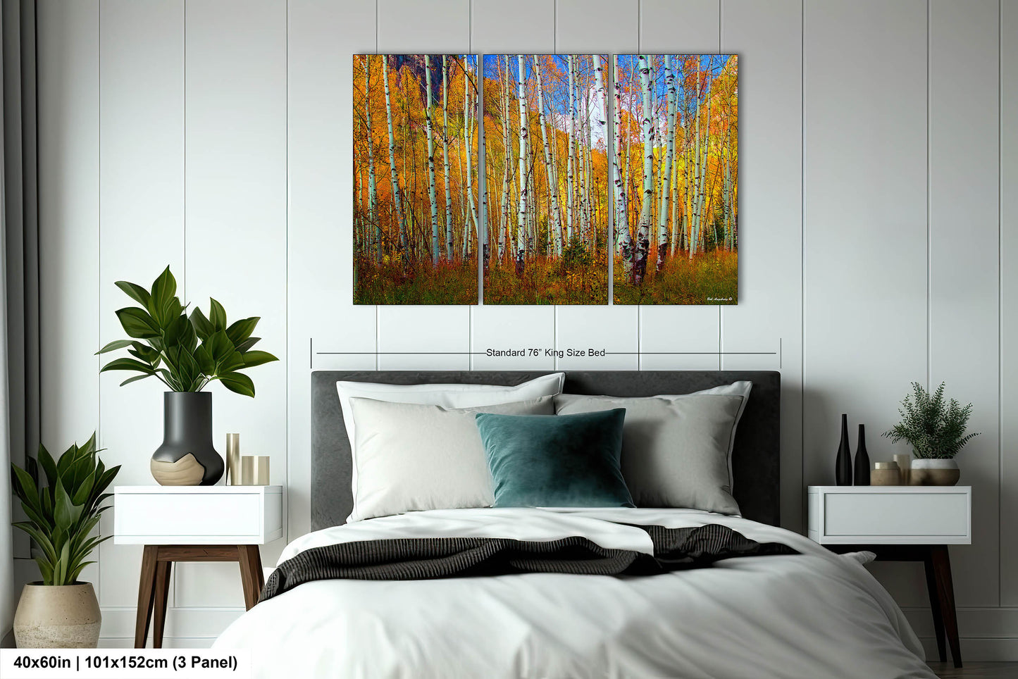 Aspen's canvas, fall aspens, Colorado, Colorado canvas, autumn trees, aspens photo, large canvas, Colorado gifts, large wall art