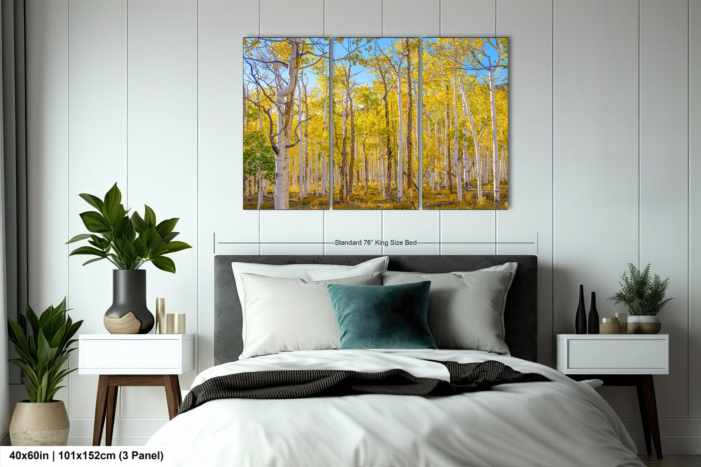 Fall Aspen Trees Wall Art, Pando / Birch Tree / Large Forest Print Nature / Canvas Wall Decor / Acrylic / Metal / Photography