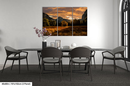 Lonely Tree