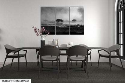 Bison in the Mist, Yellowstone, Western Wall Art, Black & White, Triptych, available on Paper, Canvas, Metal, and Acrylic