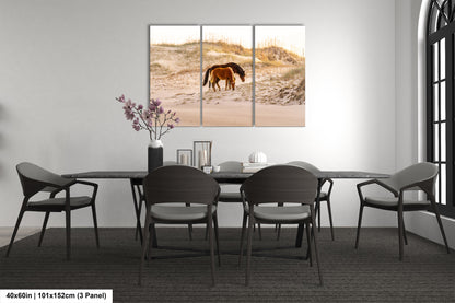 Wild Mustang Horses Mother and Baby Sunset / Fine Art Print / Canvas / Acrylic / Metal / Photography