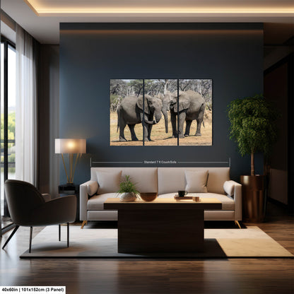 Elephant Canvas Wall Art, South Africa Elephants Couple Photo Print, Safari Animal Print Elephant Photography for Office, Dorm or Home Decor