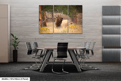 Bull Elk Bugling, Wildlife Wall Canvas, Rocky Mountain National Park, Colorado Canvas Art Prints, Elk Photography, Made in the USA