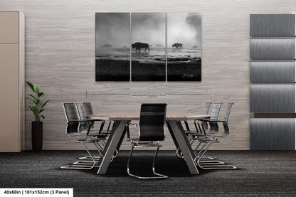 Bison in the Mist, Yellowstone, Western Wall Art, Black & White, Triptych, available on Paper, Canvas, Metal, and Acrylic