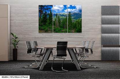 Breckenridge Colorado summertime picture, Breckenridge wall art, wildflowers of Colorado, mountain wall art, extra large wall art