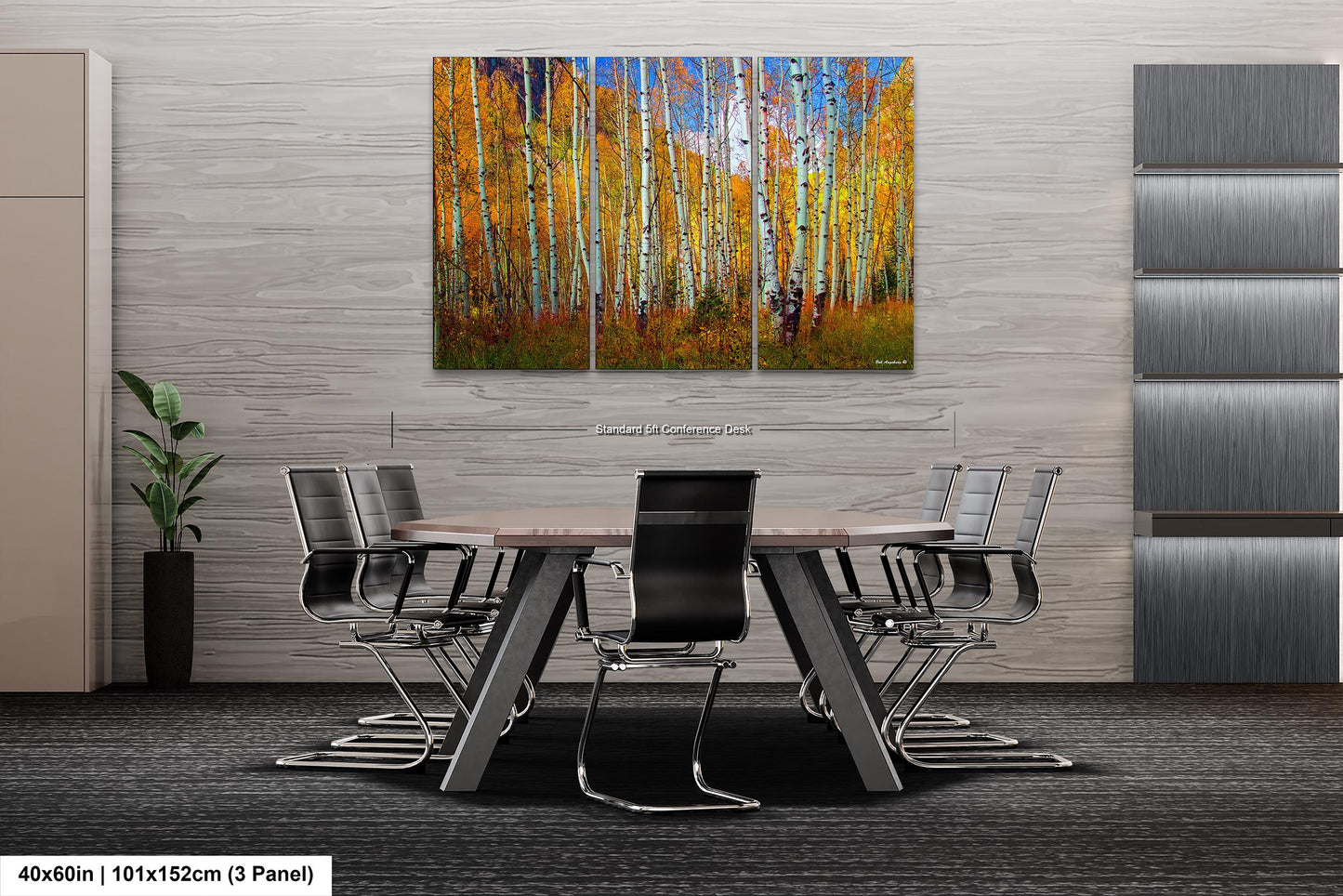 Aspen's canvas, fall aspens, Colorado, Colorado canvas, autumn trees, aspens photo, large canvas, Colorado gifts, large wall art