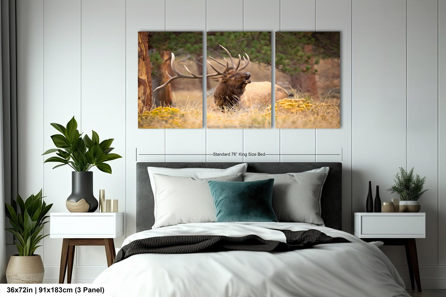 Bull Elk Bugling, Wildlife Wall Canvas, Rocky Mountain National Park, Colorado Canvas Art Prints, Elk Photography, Made in the USA