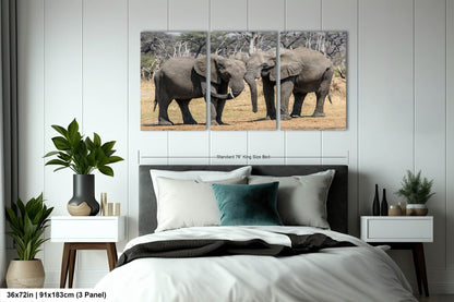 Elephant Canvas Wall Art, South Africa Elephants Couple Photo Print, Safari Animal Print Elephant Photography for Office, Dorm or Home Decor