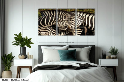 South Africa Zebra Print, Couple Zebras Canvas Wall Art, Stylish Safari Photo Print for Home,Living Room, Office, Bedroom or Dorm Decor Gift