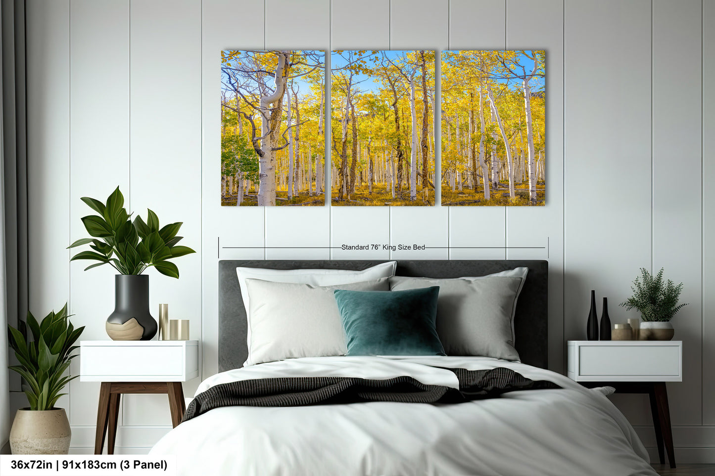 Fall Aspen Trees Wall Art, Pando / Birch Tree / Large Forest Print Nature / Canvas Wall Decor / Acrylic / Metal / Photography