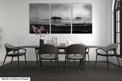 Bison in the Mist, Yellowstone, Western Wall Art, Black & White, Triptych, available on Paper, Canvas, Metal, and Acrylic