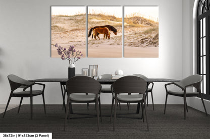 Wild Mustang Horses Mother and Baby Sunset / Fine Art Print / Canvas / Acrylic / Metal / Photography