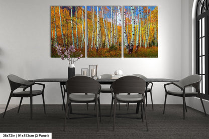 Aspen's canvas, fall aspens, Colorado, Colorado canvas, autumn trees, aspens photo, large canvas, Colorado gifts, large wall art