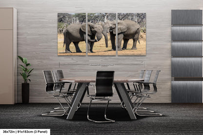 Elephant Canvas Wall Art, South Africa Elephants Couple Photo Print, Safari Animal Print Elephant Photography for Office, Dorm or Home Decor