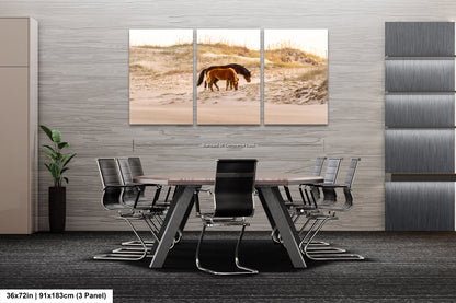 Wild Mustang Horses Mother and Baby Sunset / Fine Art Print / Canvas / Acrylic / Metal / Photography