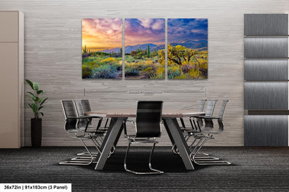 Desert Wonderland: Painted Sky Sunset at Sabino Canyon Tucson Arizona Cactus Landscape Photography Wall Art