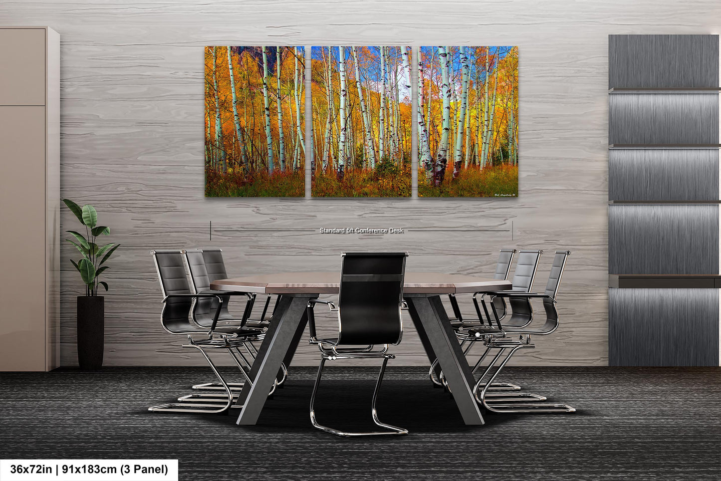 Aspen's canvas, fall aspens, Colorado, Colorado canvas, autumn trees, aspens photo, large canvas, Colorado gifts, large wall art