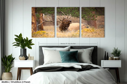 Bull Elk Bugling, Wildlife Wall Canvas, Rocky Mountain National Park, Colorado Canvas Art Prints, Elk Photography, Made in the USA