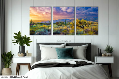 Desert Wonderland: Painted Sky Sunset at Sabino Canyon Tucson Arizona Cactus Landscape Photography Wall Art