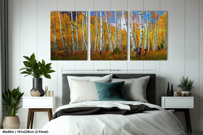 Aspen's canvas, fall aspens, Colorado, Colorado canvas, autumn trees, aspens photo, large canvas, Colorado gifts, large wall art