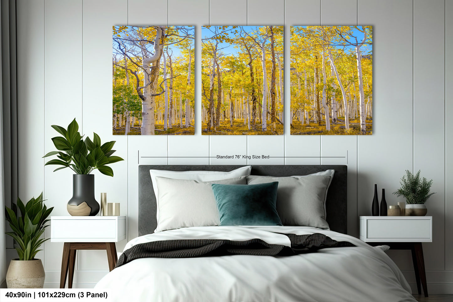 Fall Aspen Trees Wall Art, Pando / Birch Tree / Large Forest Print Nature / Canvas Wall Decor / Acrylic / Metal / Photography