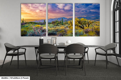 Desert Wonderland: Painted Sky Sunset at Sabino Canyon Tucson Arizona Cactus Landscape Photography Wall Art