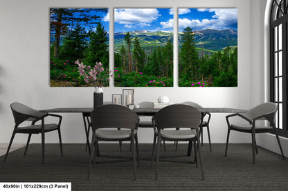 Breckenridge Colorado summertime picture, Breckenridge wall art, wildflowers of Colorado, mountain wall art, extra large wall art