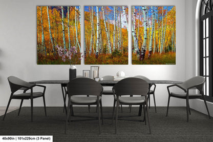 Aspen's canvas, fall aspens, Colorado, Colorado canvas, autumn trees, aspens photo, large canvas, Colorado gifts, large wall art