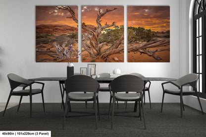 Dead Tree Sunset in Arches National Park Utah Fine art Canvas/Metal/Acrylic/Photo Print Wall Art Office Home Decorations Ready to hang