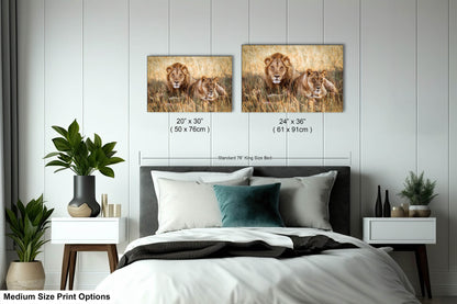 Lion Pair African Safari