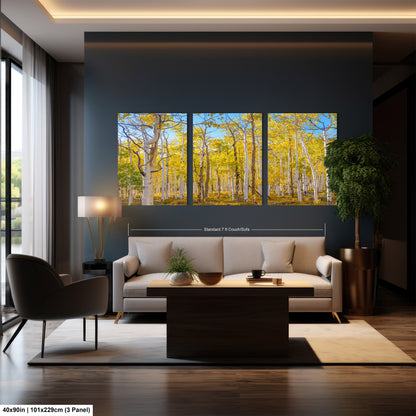 Fall Aspen Trees Wall Art, Pando / Birch Tree / Large Forest Print Nature / Canvas Wall Decor / Acrylic / Metal / Photography
