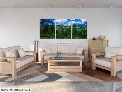 Breckenridge Colorado summertime picture, Breckenridge wall art, wildflowers of Colorado, mountain wall art, extra large wall art